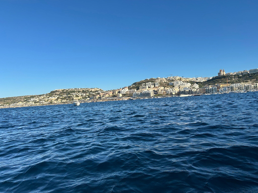 Avis Car Rental Malta International Airport