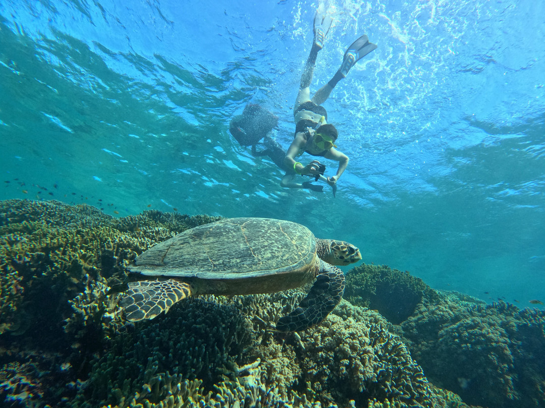 BlueMenjangan-Menjangan Island必去景点
