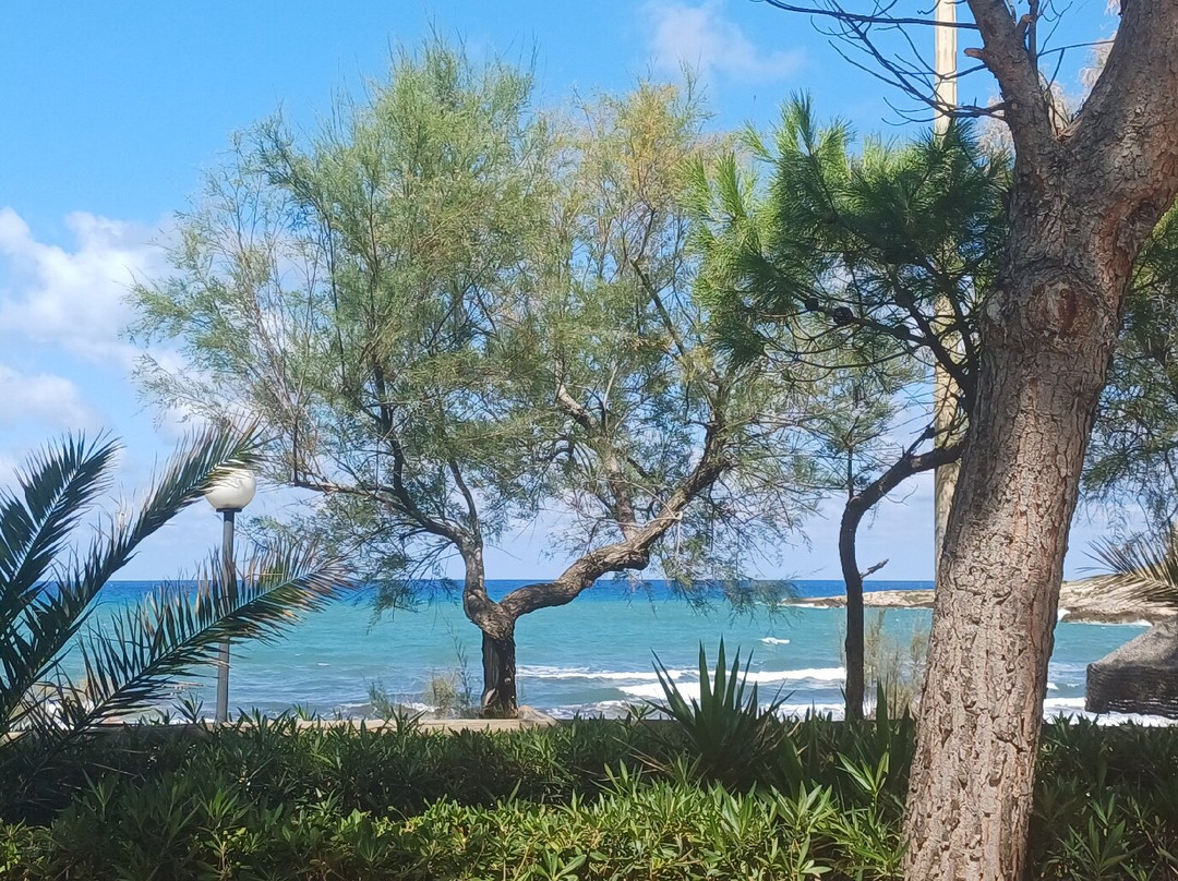 Baia Calalunga-佩斯基奇必去景点