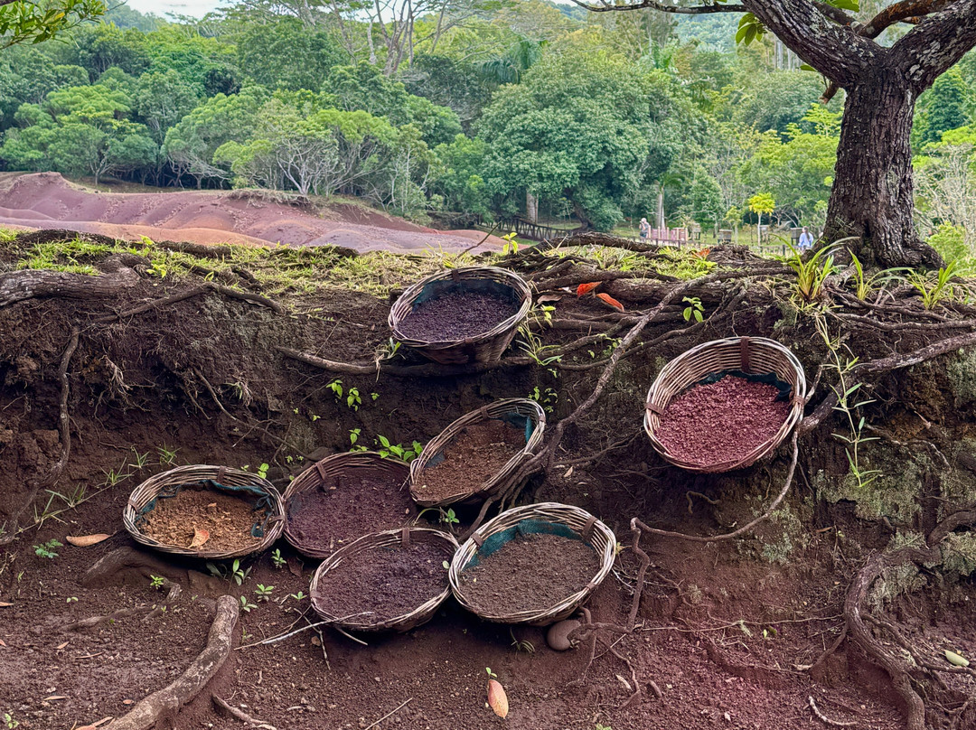 Antonio Taxi Mauritius-Palmar必去景点