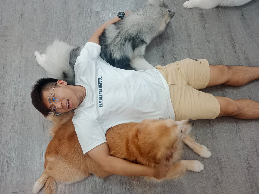 Hahahusky-马六甲必去景点