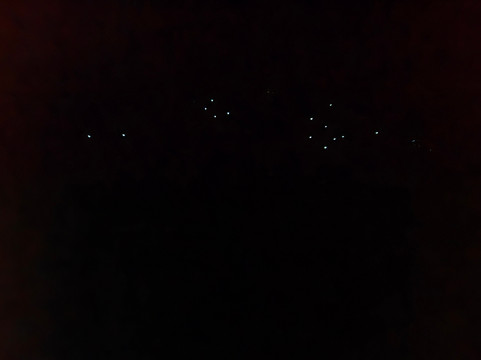 Social Nature Movement (SNM)-奥克兰中心地区必去景点