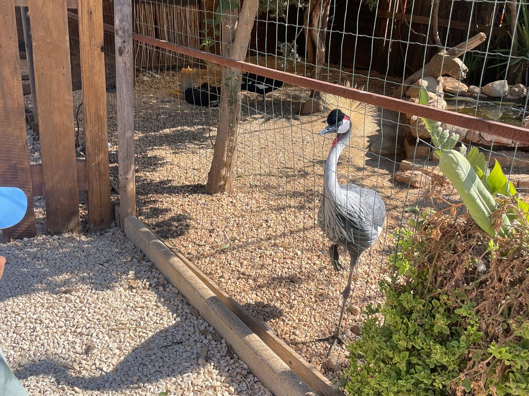 Fattoria Bassa Corte-Ribera必去景点