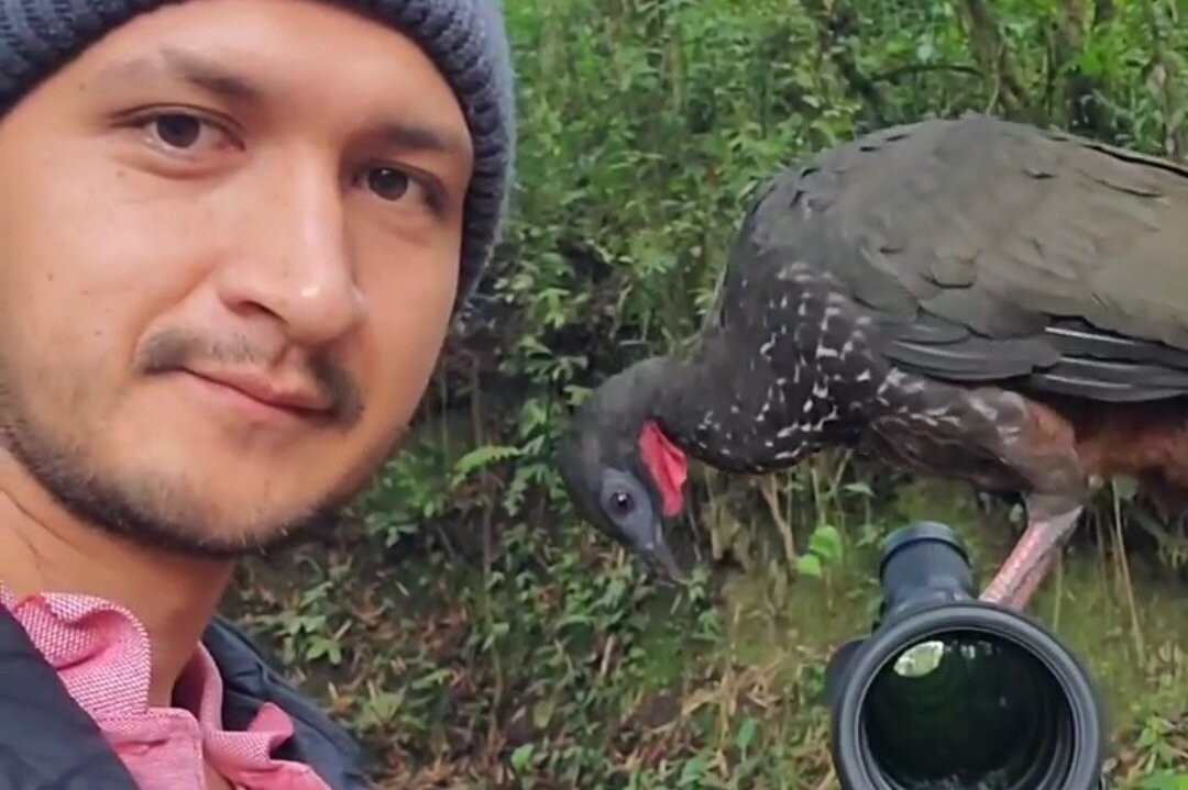 Royer Tours Mindo-明多必去景点