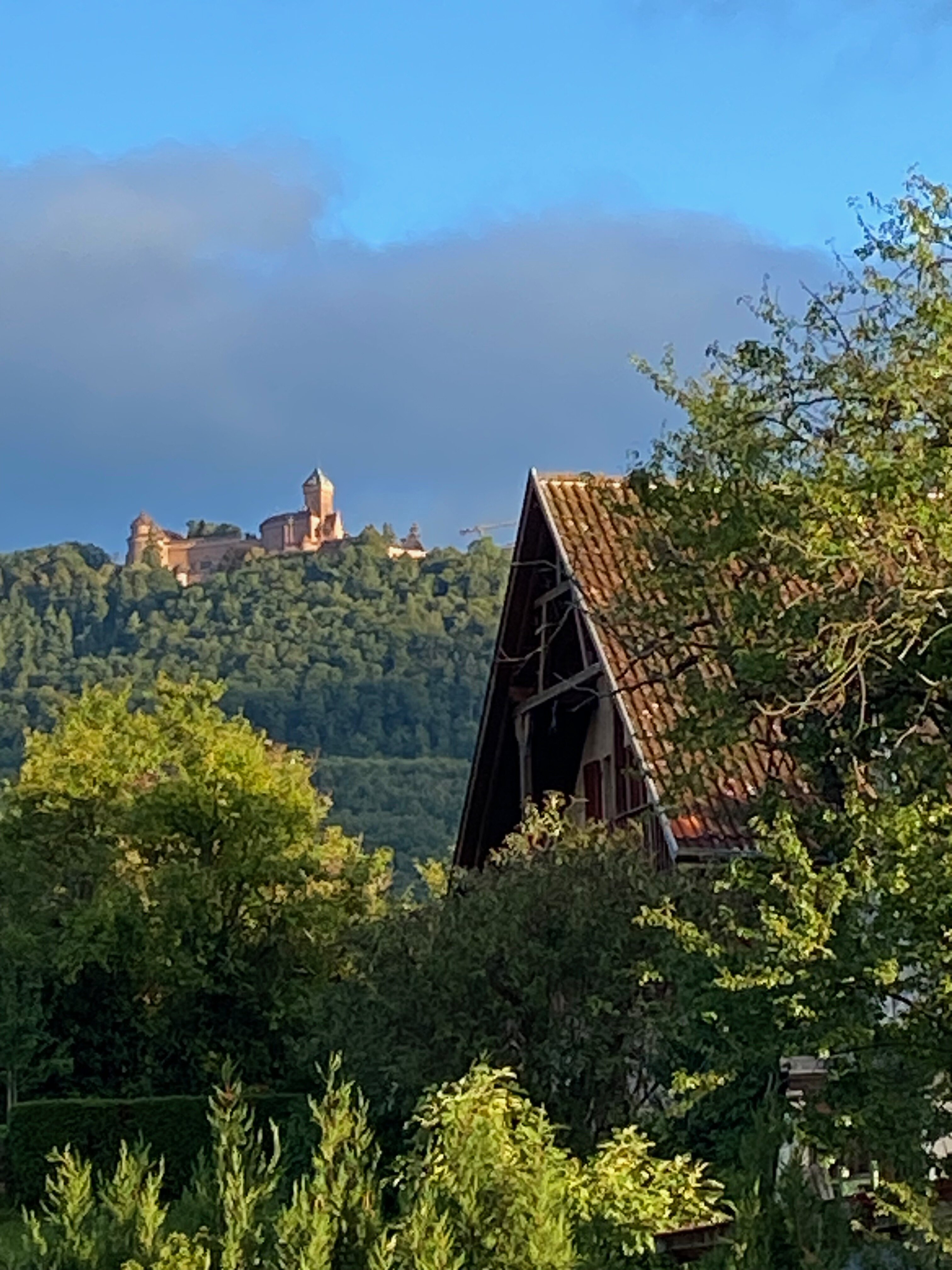 Hotel Le Parc-酒店景观