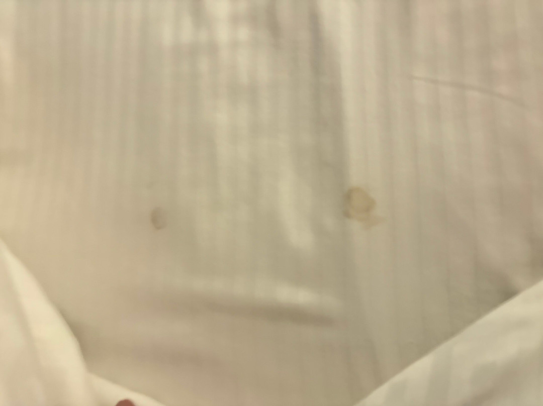 La Quinta Inn & Suites by Wyndham Fairborn Wright-Patterson主图