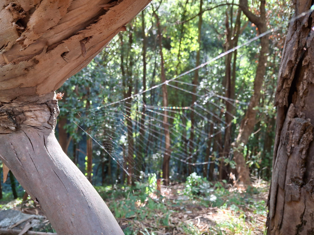 Colli San Rizzo-墨西拿必去景点