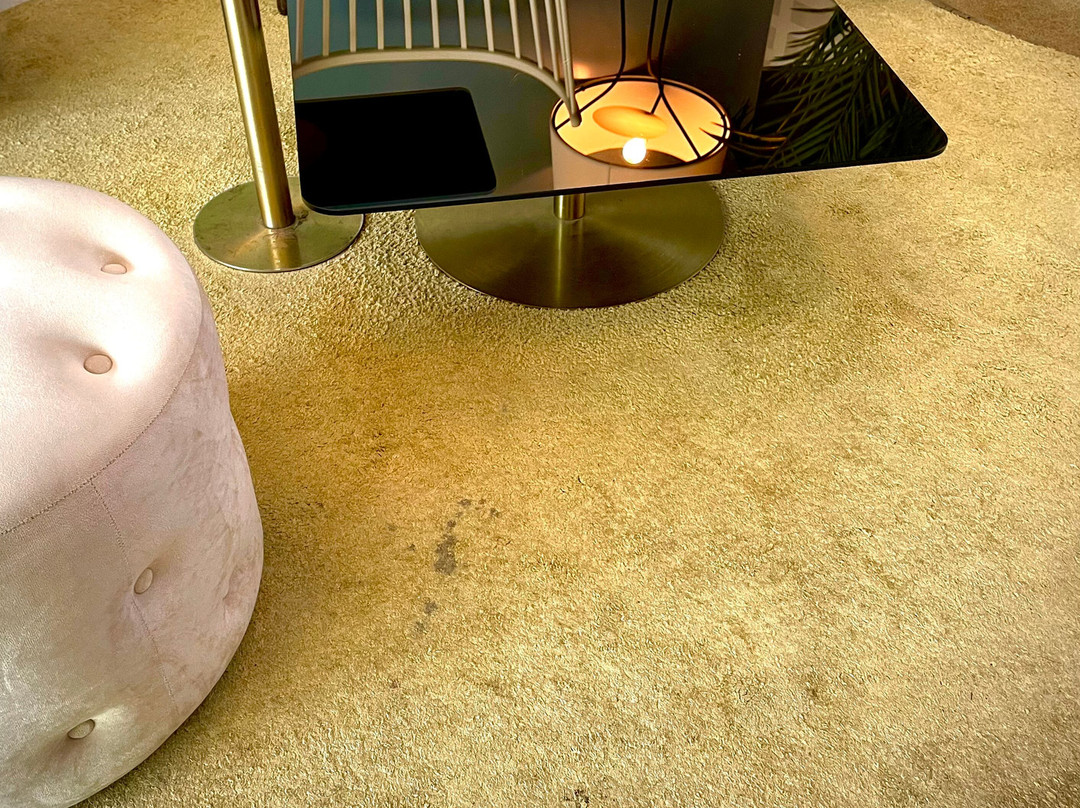 Elite Hotel Ideon主图