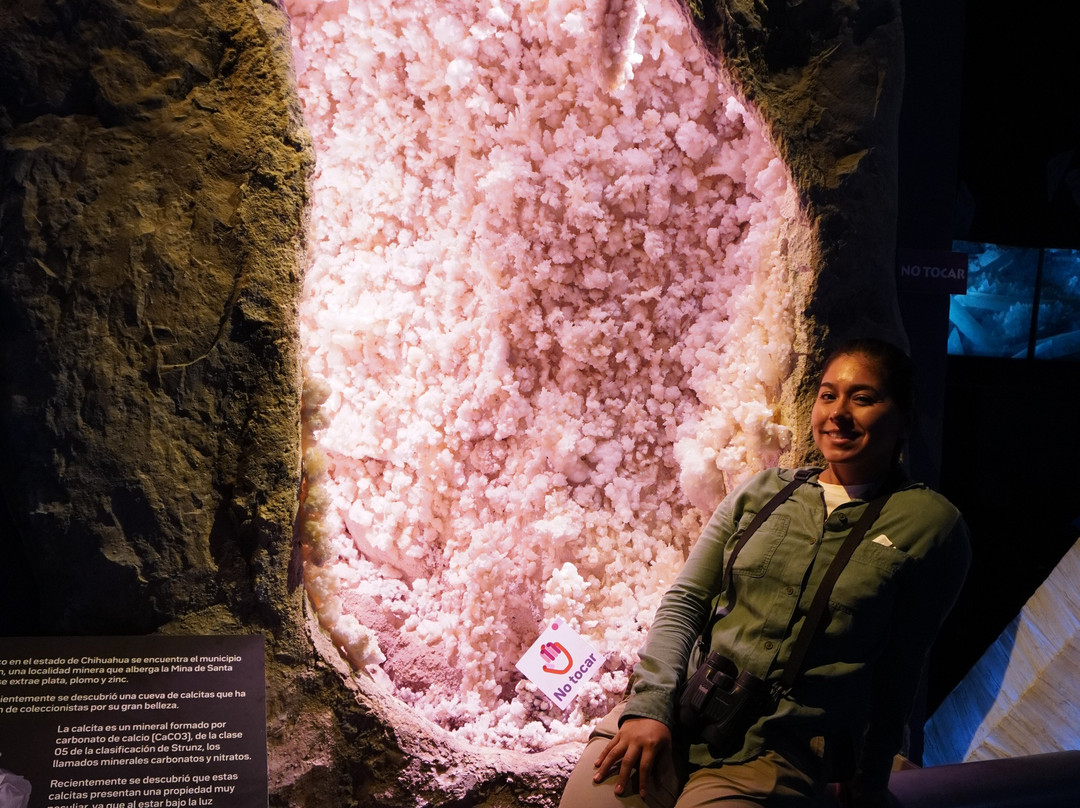 Museo del Desierto-萨尔蒂必去景点