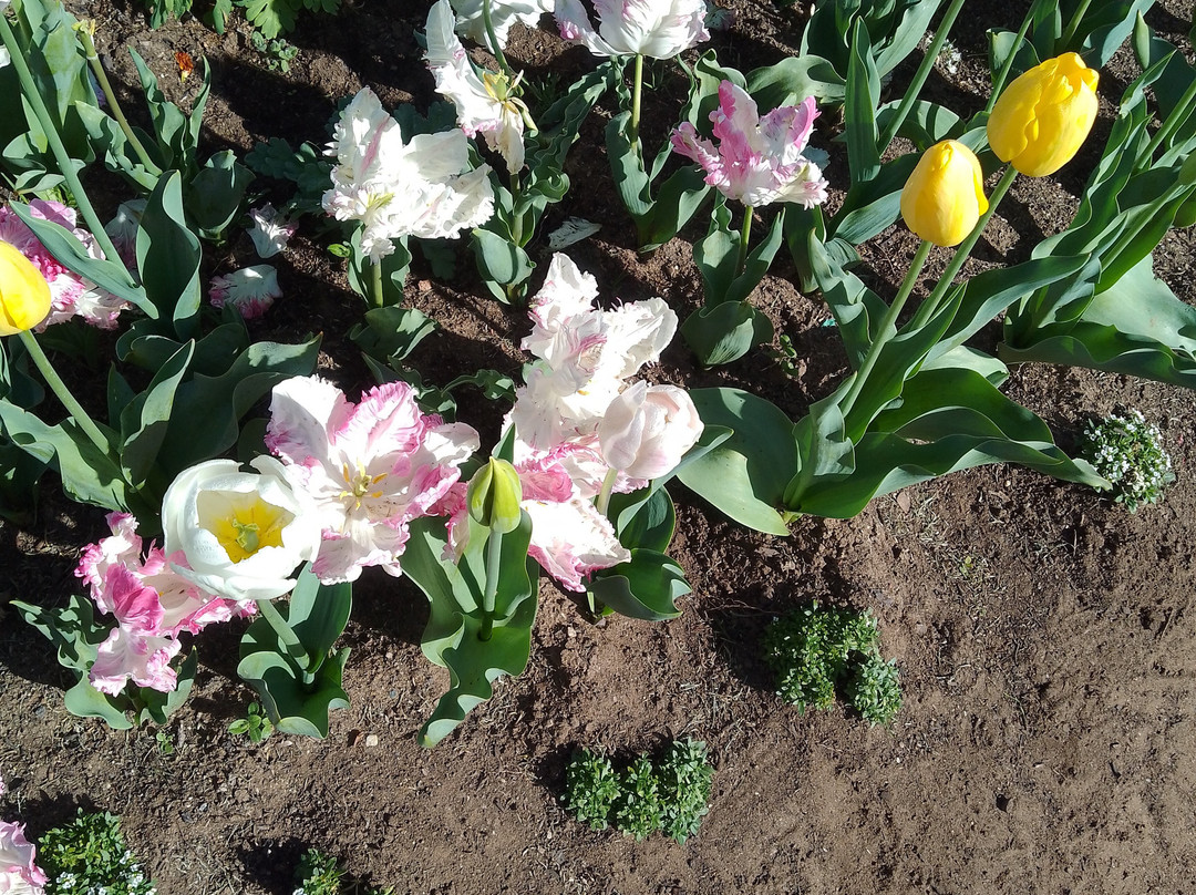 Central Deborah Motel主图