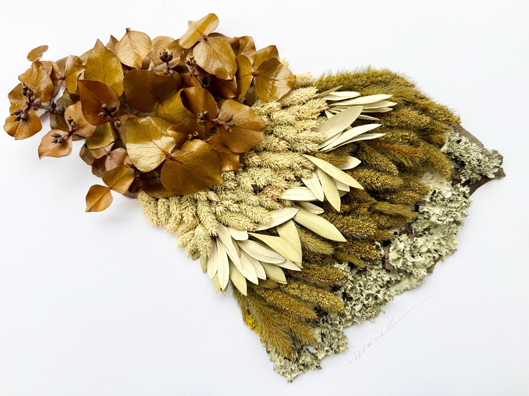 Gallery 320-美特尔海滩必去景点