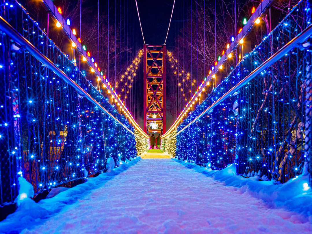 SkyBridge Michigan-Boyne Falls必去景点