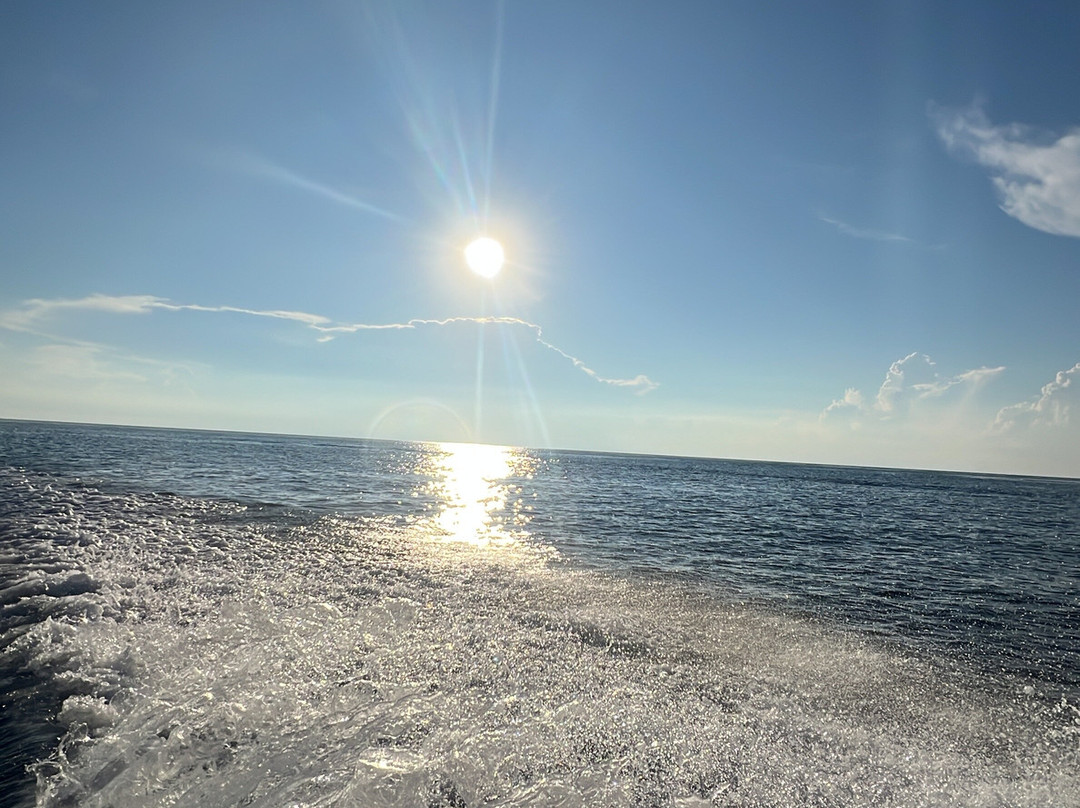 Scuba Life Cozumel-San Miguel de Cozumel必去景点