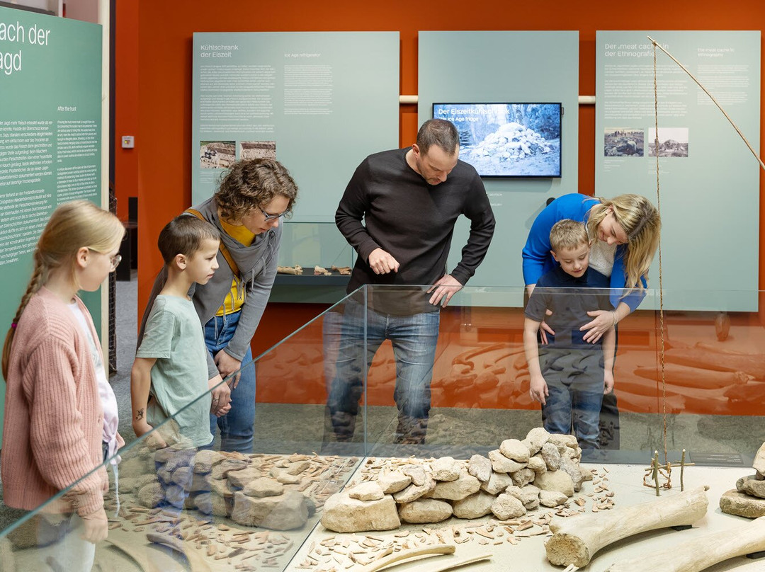 MAMUZ Museum Mistelbach-Mistelbach必去景点