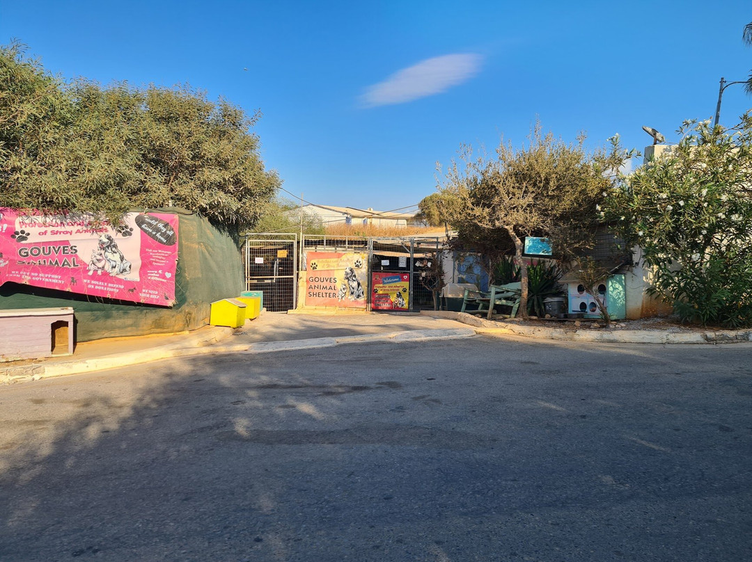 伊拉克利翁旅游景点-Gouves Animal Shelter