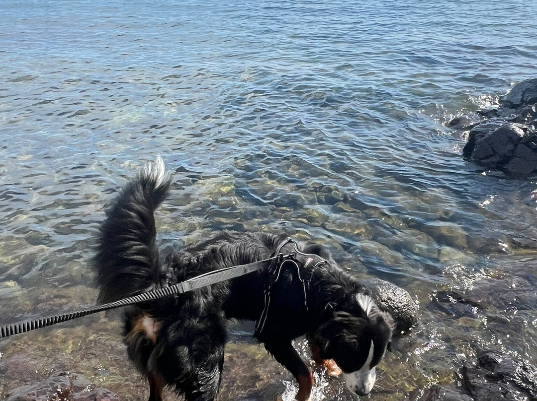 Split Rock Lighthouse State Park-Two Harbors必去景点