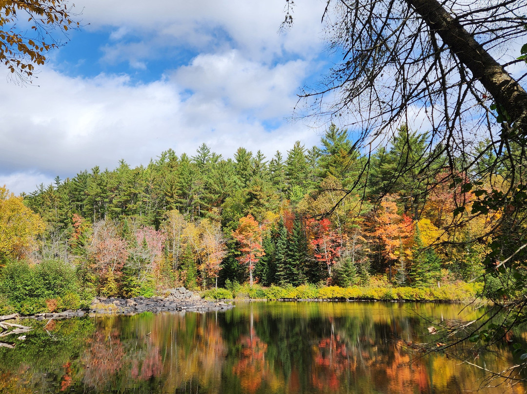 South Algonquin Trails-Harcourt必去景点