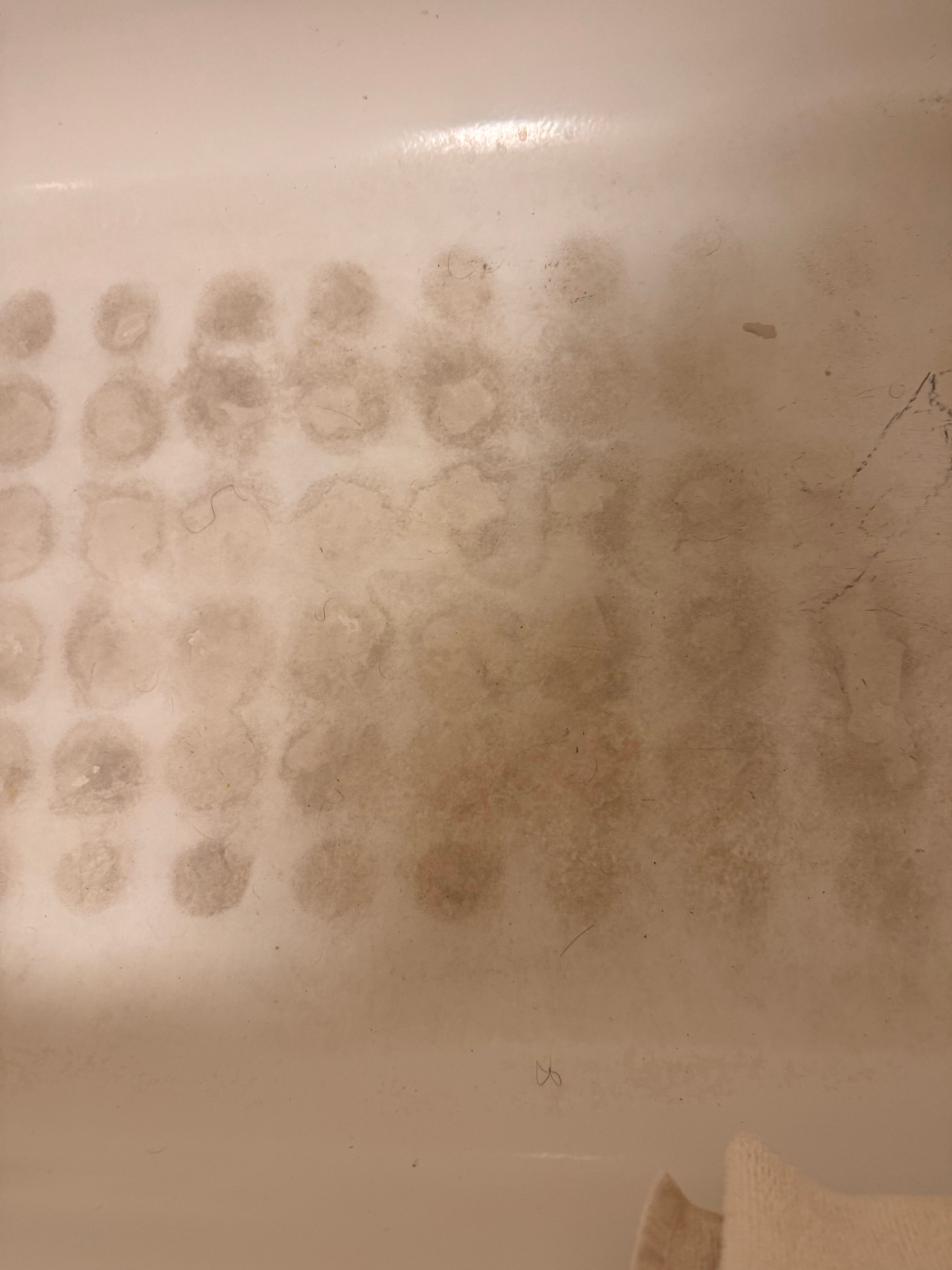 Red Roof Inn Dayton South - Miamisburg-浴室