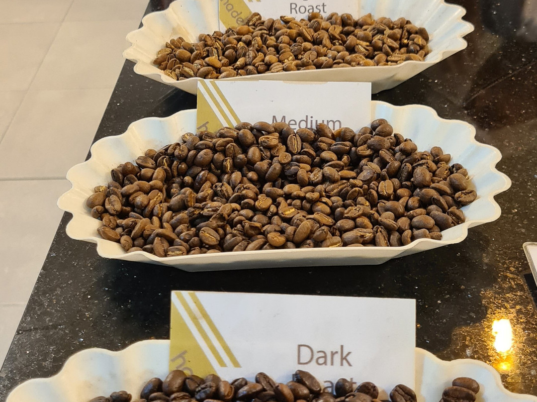 Addis Tour Guide-亚的斯亚贝巴必去景点