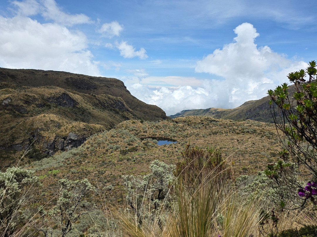 Somos Monos Travel-佩雷拉必去景点