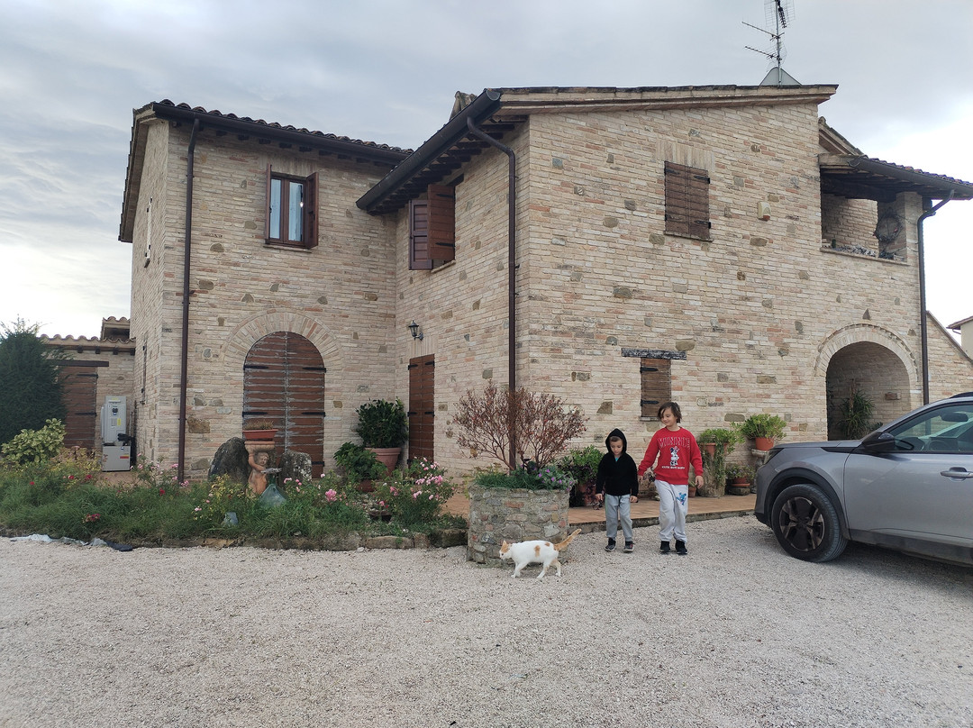 Madonna della Pia酒店住宿-Agriturismo La Tana del Lupo