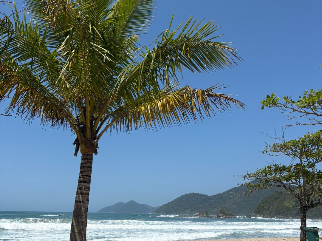 Baia de Castelhanos Beach-伊利亚贝拉必去景点