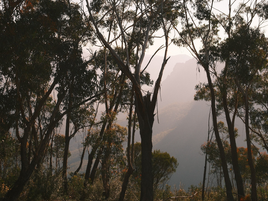 Chalets At Blackheath主图