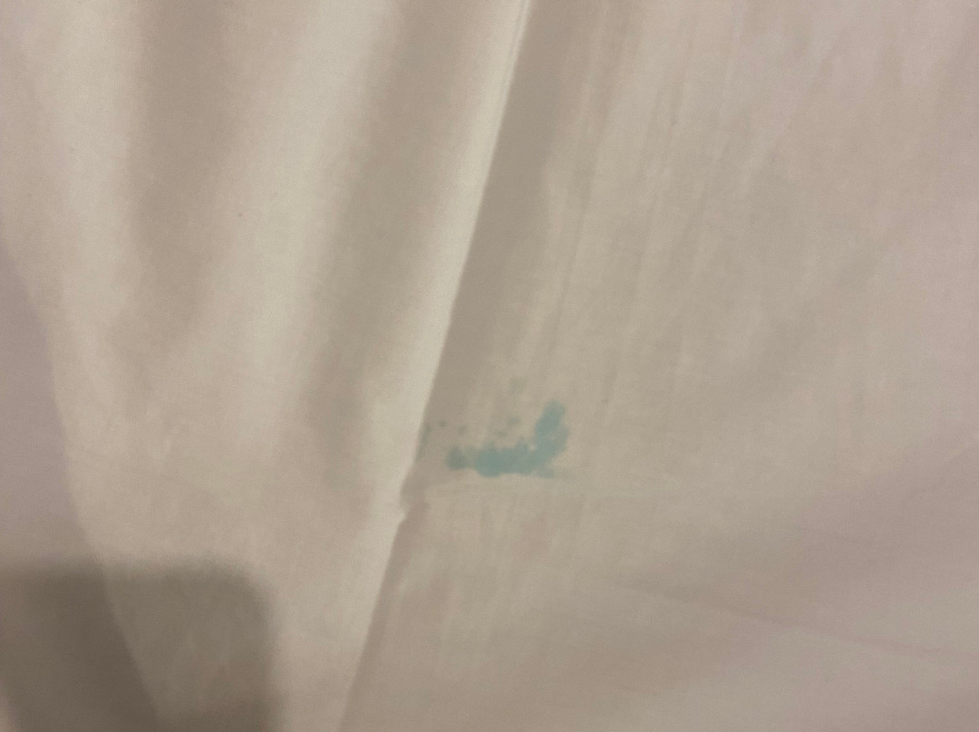 Ariana Apartments主图