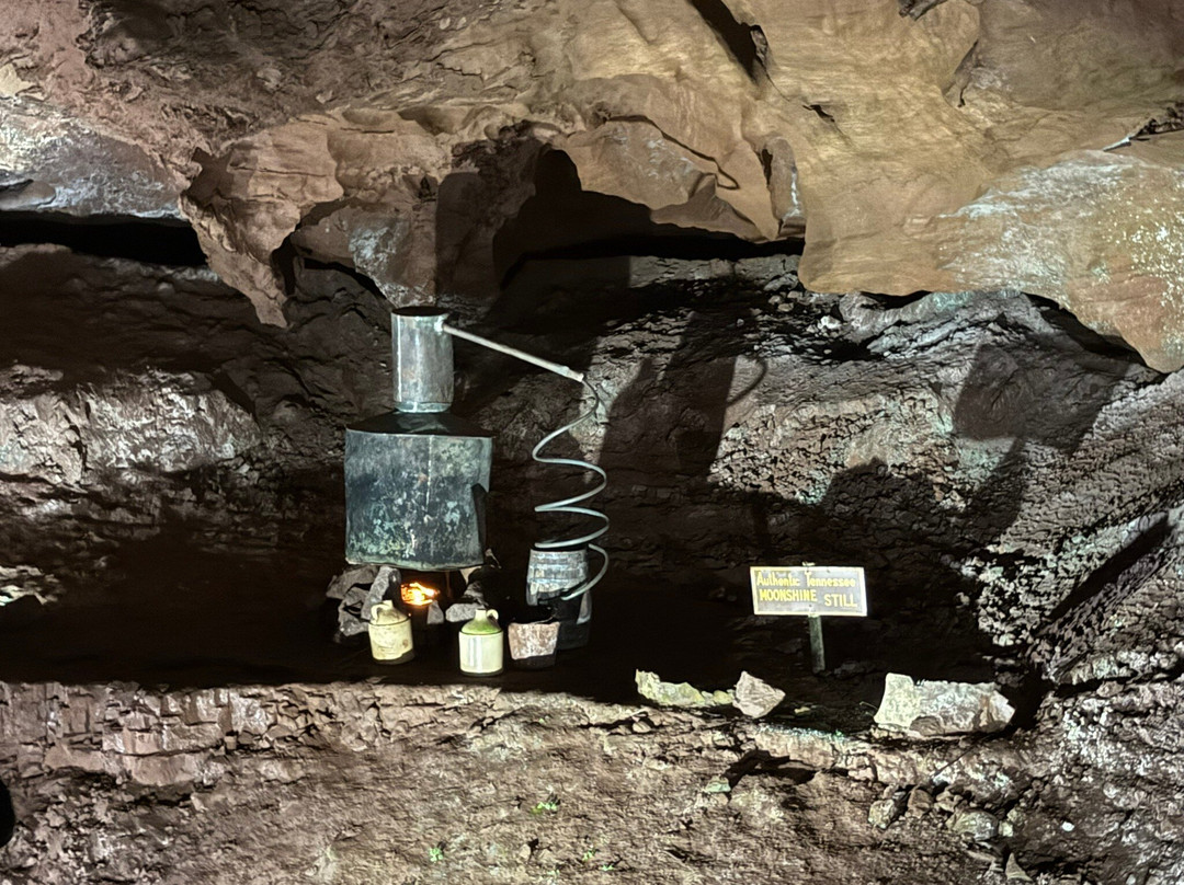 The Lost Sea Adventure-Sweetwater必去景点