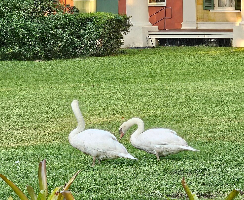 The Inn at Houmas House Estate主图