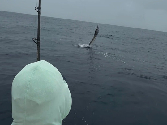 Tamarindo Tours Discovery-塔马林多必去景点