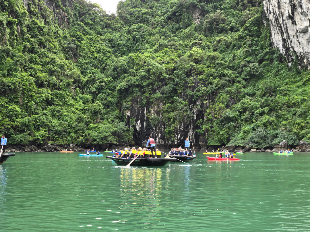 Hera Cruises Ha Long Bay-河内必去景点