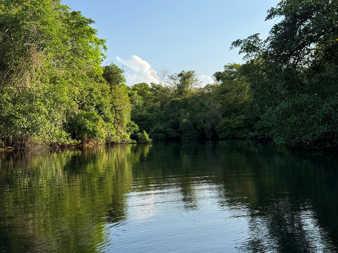 Serra da Bodoquena Waterfalls-Bodoquena必去景点
