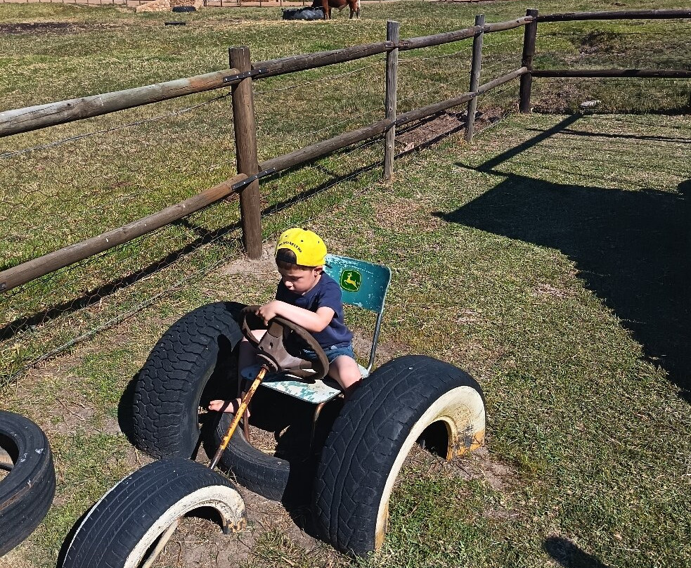 Darling Olives-Darling必去景点