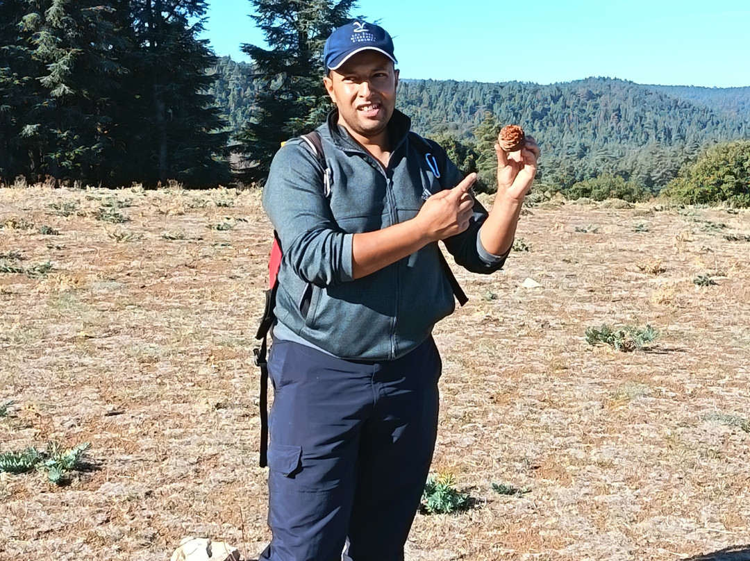 Saleh Boudaoud Official Guide-Azrou必去景点