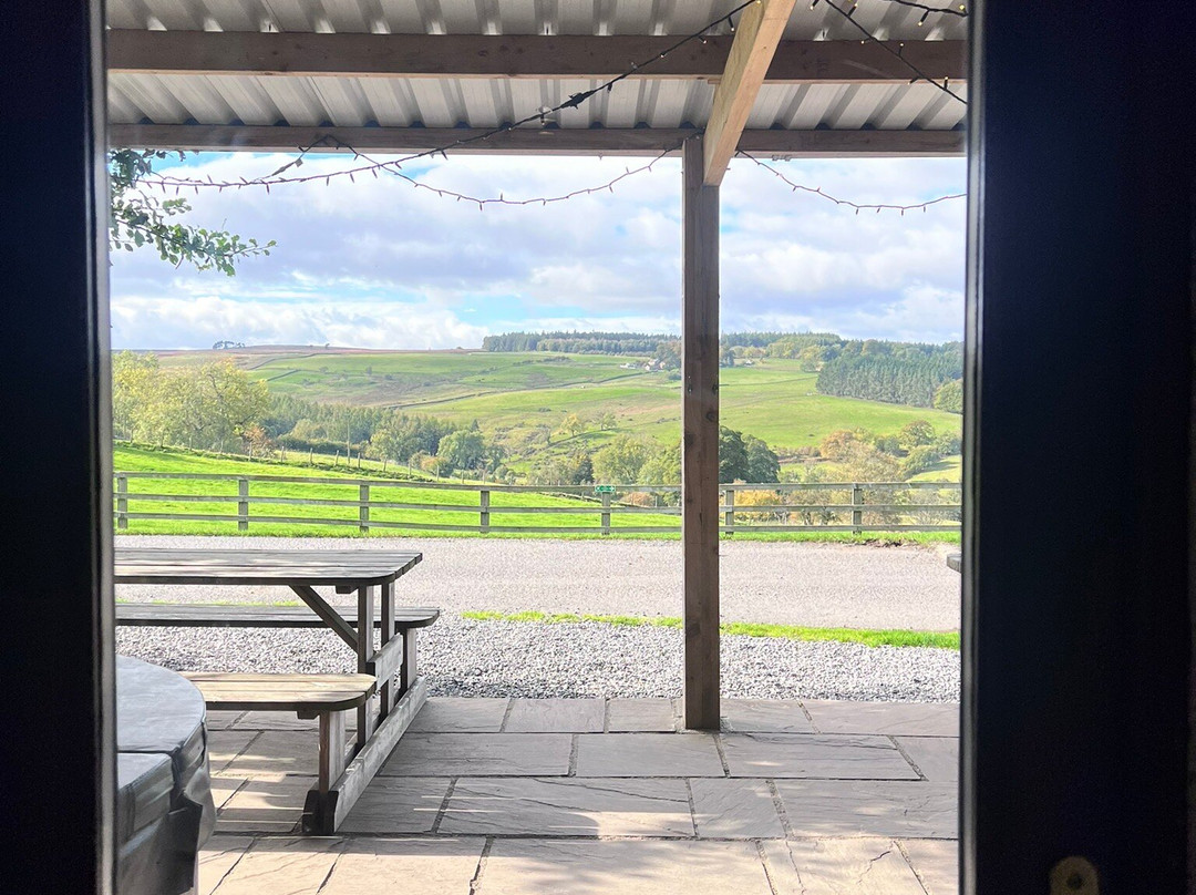 Farm Adventure Yorkshire-马沙姆必去景点