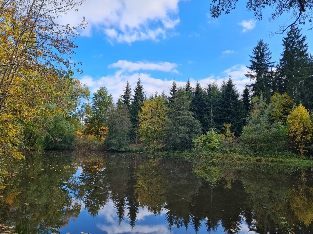 Weltwald-弗赖辛必去景点