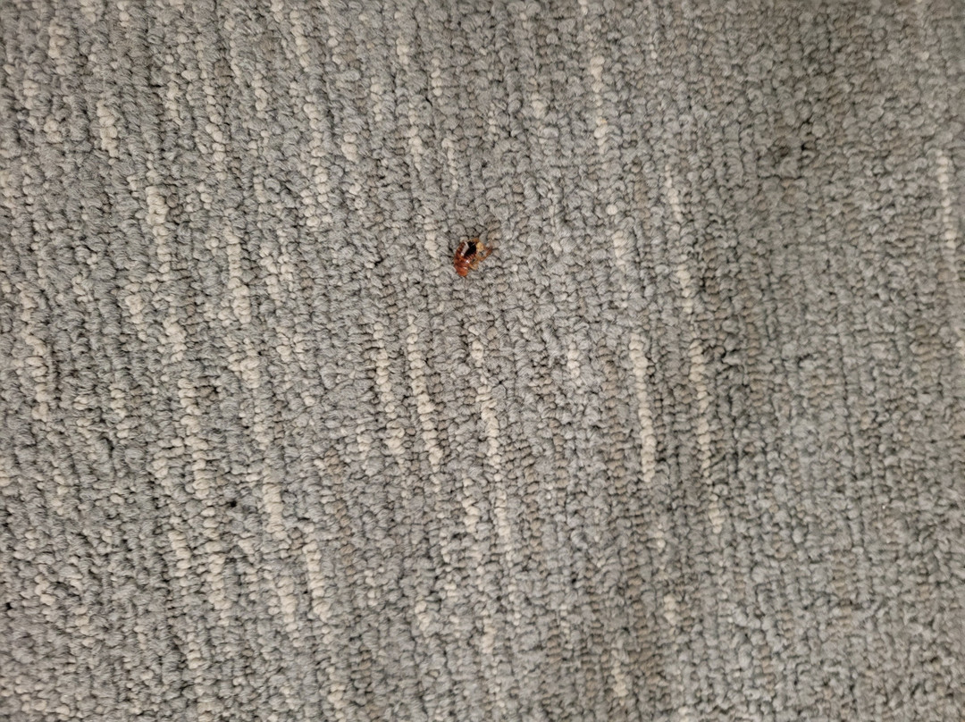 Home2 Suites by Hilton Bentonville Rogers主图