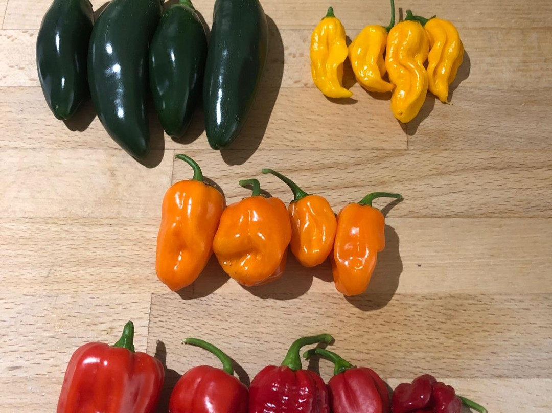 The Upton Cheyney Chilli Company-Upton Cheyney必去景点