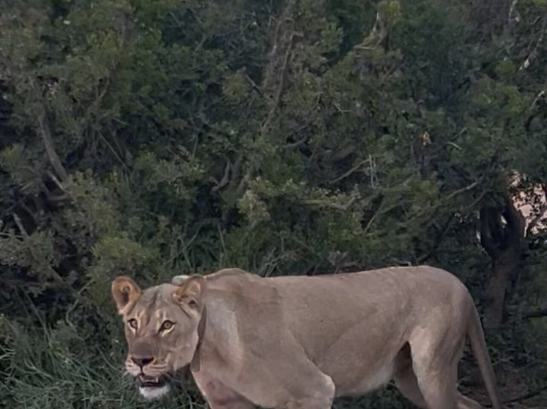 Crisscross Adventures-阿多必去景点