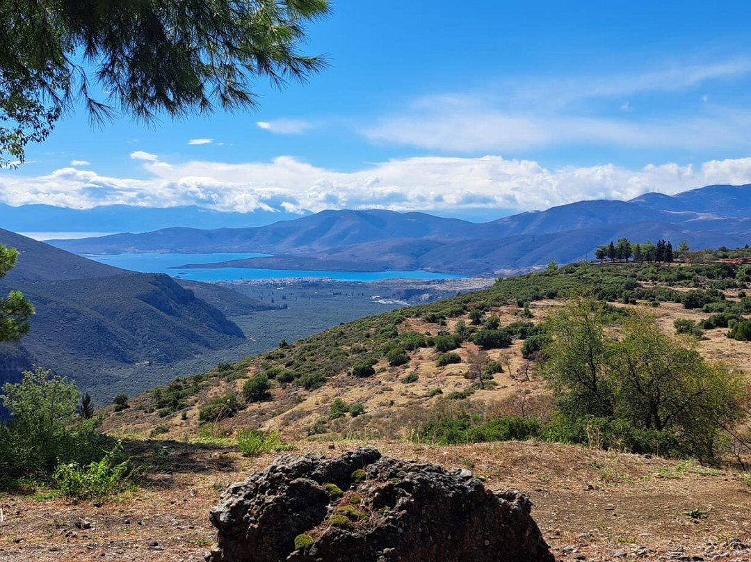 Arcas Travel Services-雅典必去景点