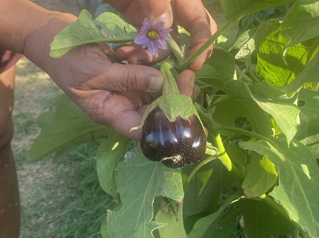 Domaine Malika主图