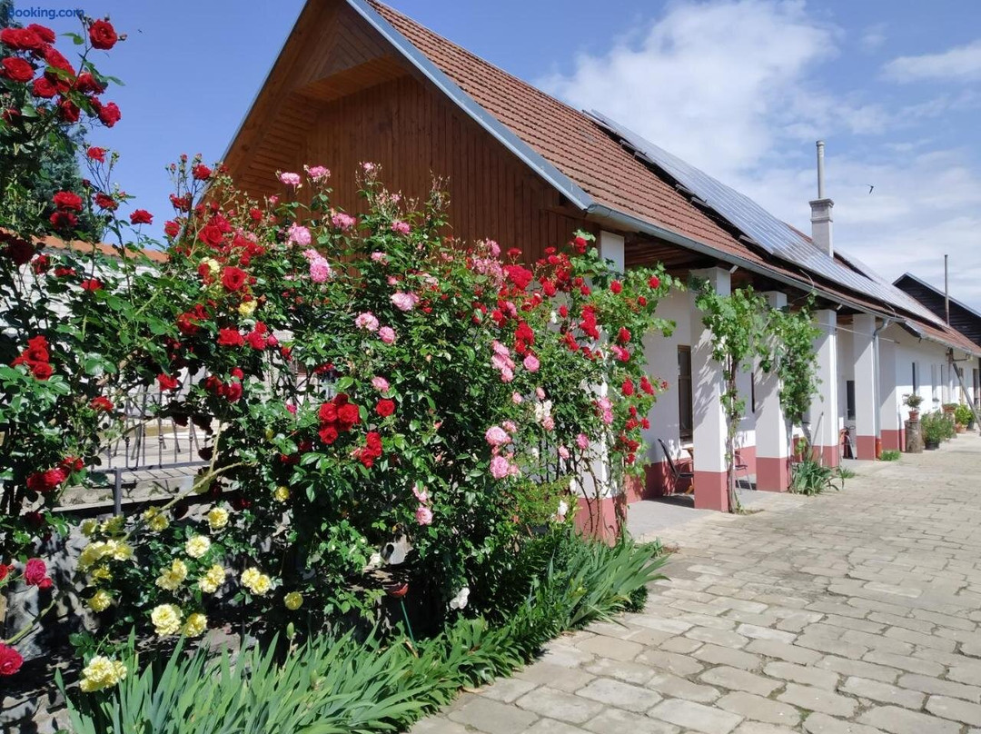 Penzion Na Vyminku