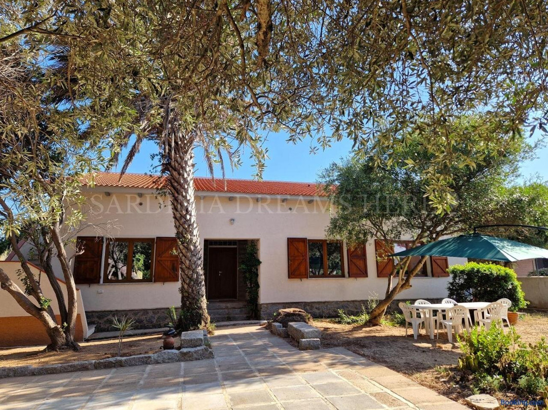 Residenza Palm Tree