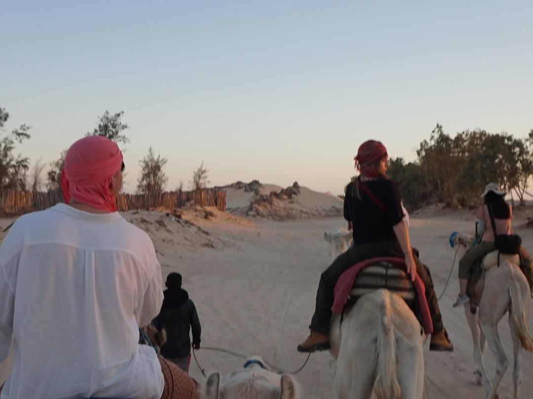 Caravane Du Sahara-Ghlissia必去景点