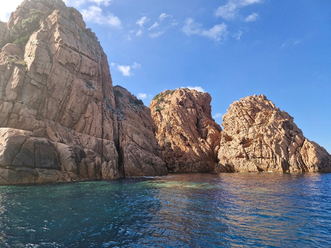 Alpana excursions en mer-Porto必去景点