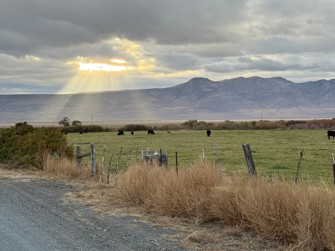 Cockrell's High Desert Lodging主图
