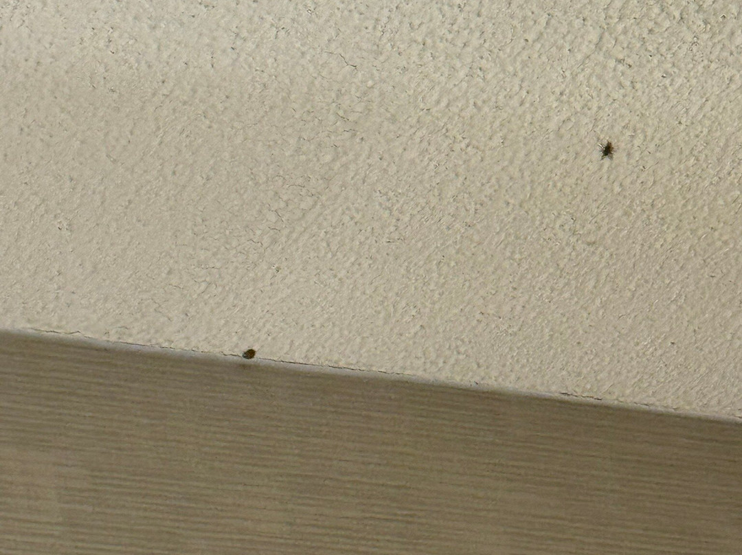 The Westin Southfield Detroit主图