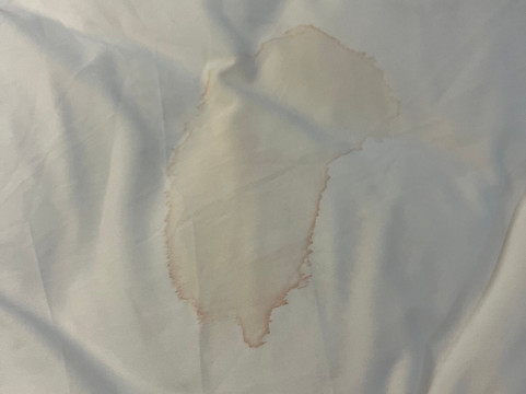 斯普林菲尔德温德姆麦客达套房酒店主图