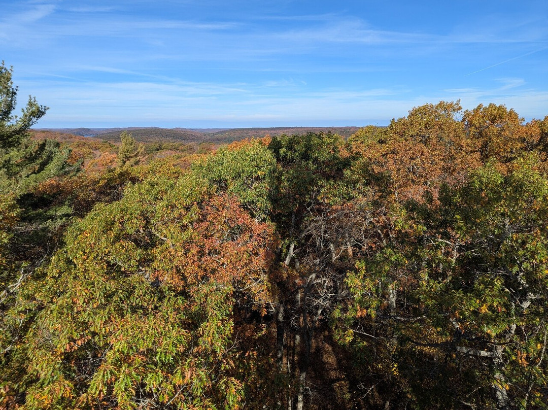 Dorset Scenic Lookout Tower-Dorset必去景点